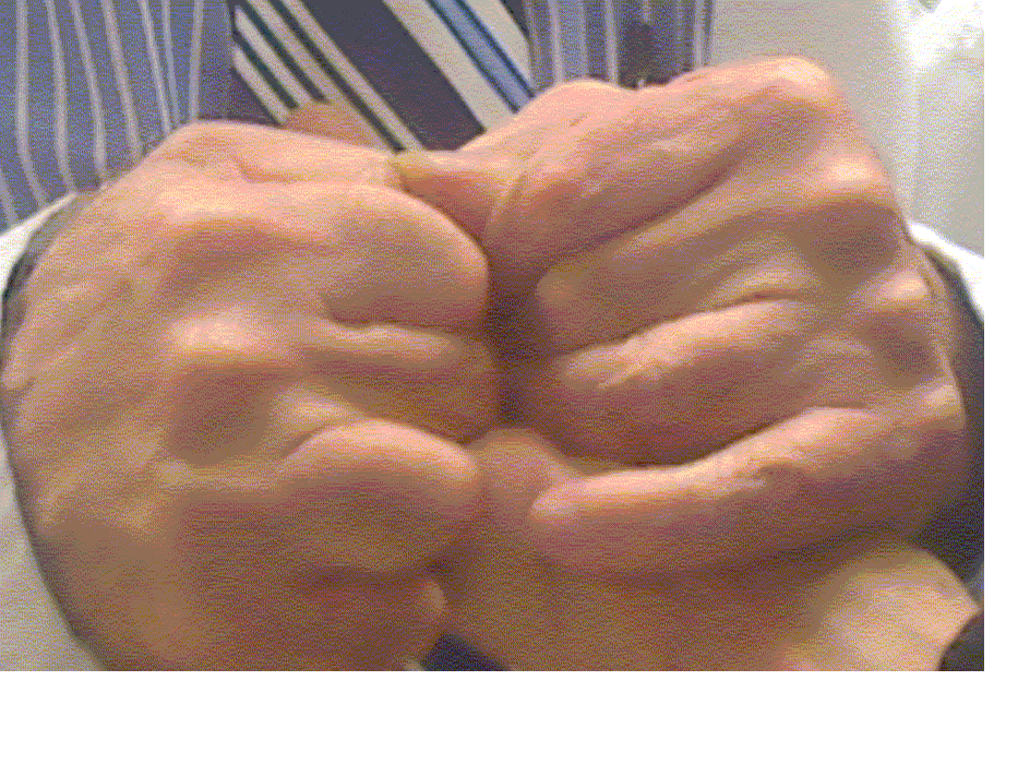 QRA Instructions - One Second Energy Bidigital Testing Instructions